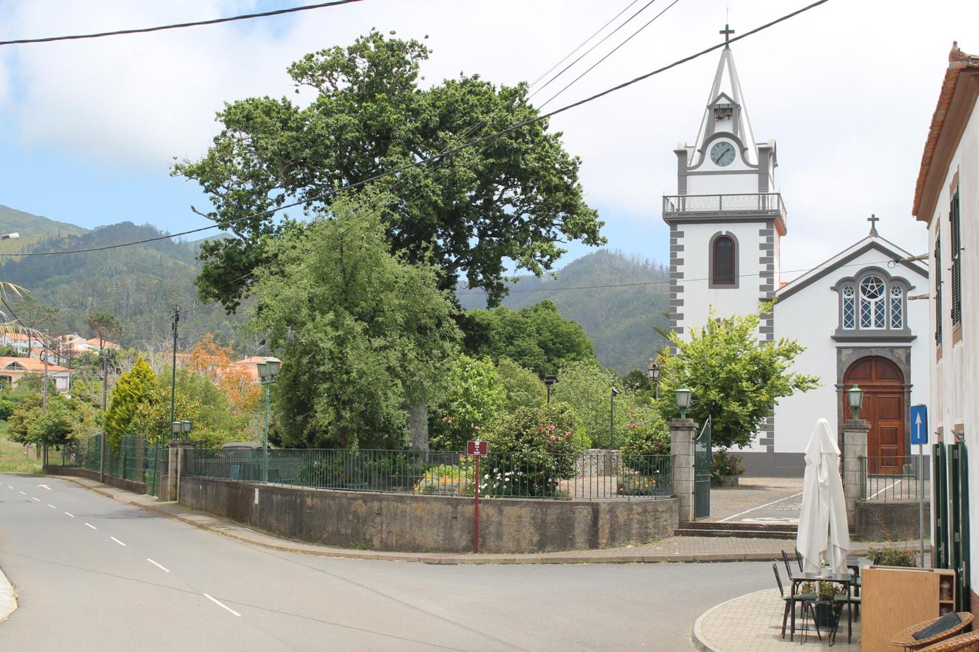 Ourmadeira - Seaview Apartment, Countryside กัลเลตา ภายนอก รูปภาพ
